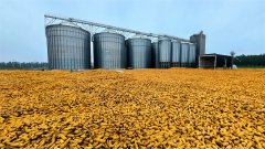 <b>端牢中国饭碗 共护大国粮仓</b>