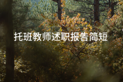 <b>托班教师述职演讲简短14篇</b>