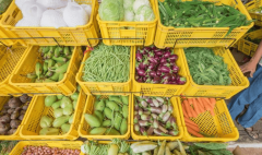 <b>学校食物平安溯源平台</b>